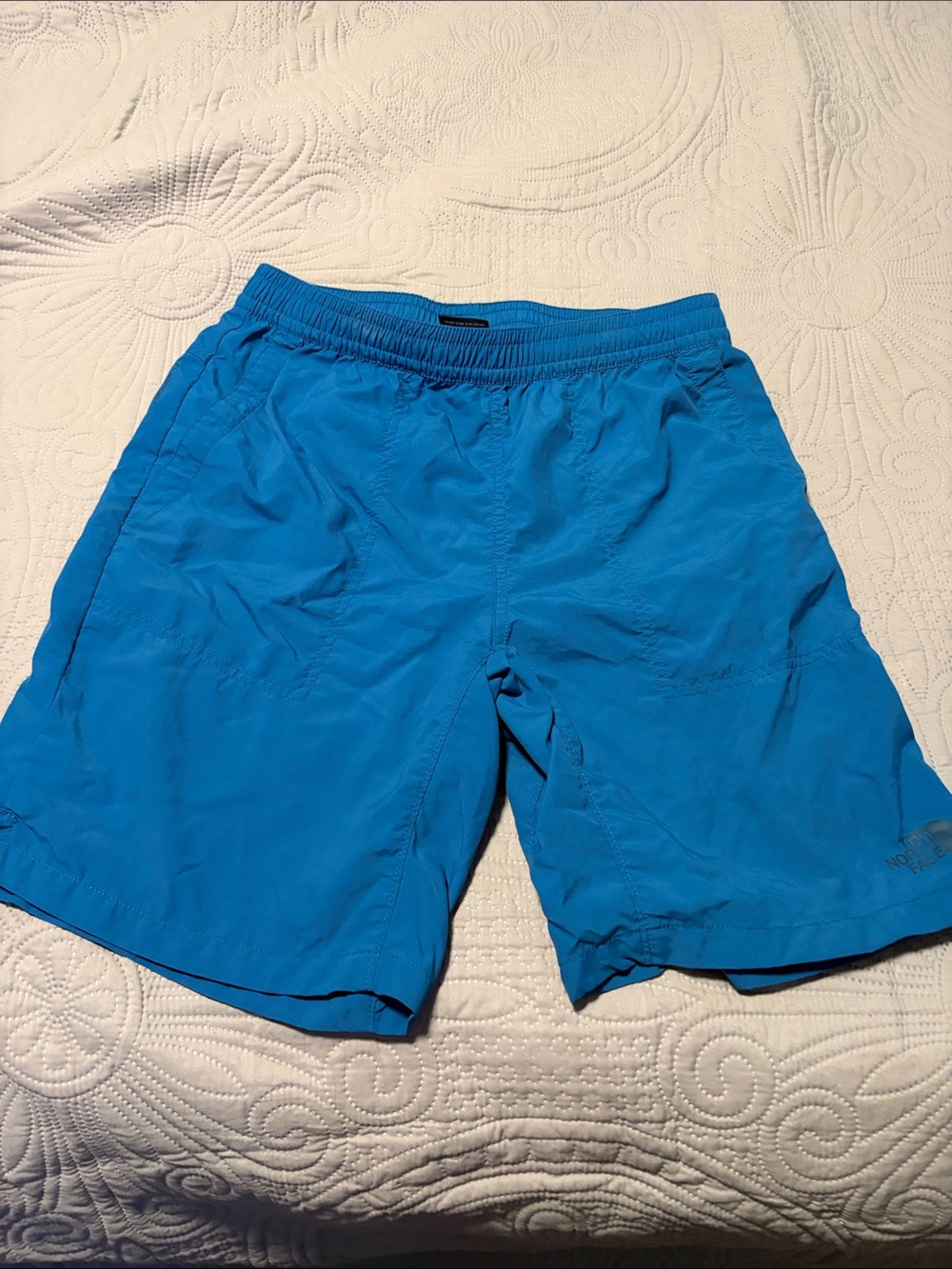 The North Face Men's Vibrant Blue Athletic Shorts